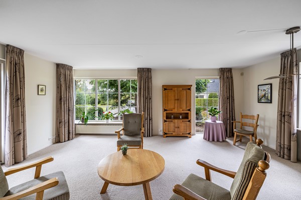 Foto Wespendief 4 Tollebeek 11.jpg